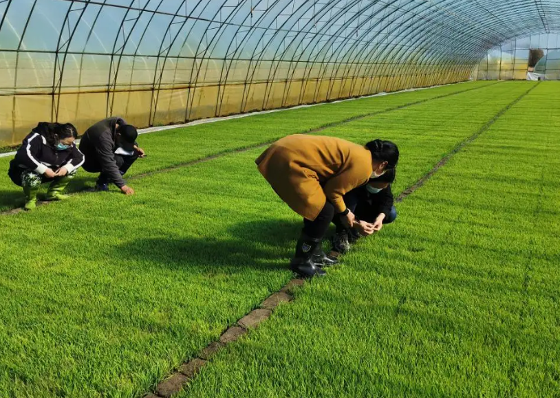 阿里农机推广中心引进云唐科技研发的农残检测仪跟兽药检测仪！